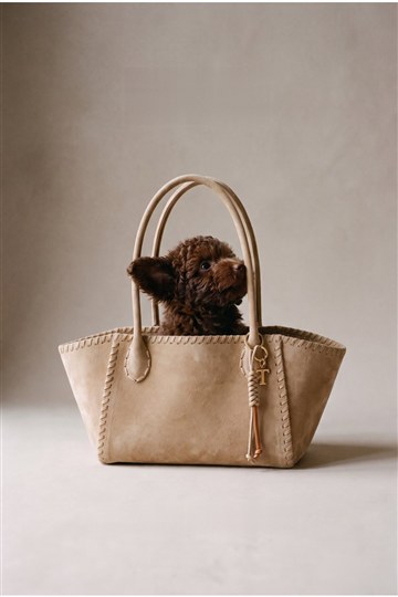 Cookie. suede dog bag with a puppy