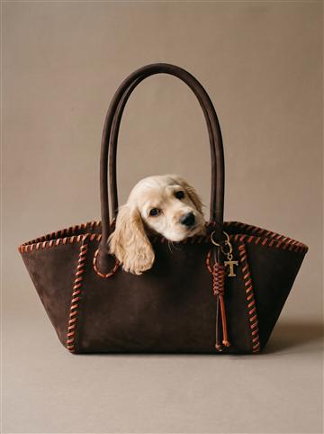 Maxi, dark brown and orange