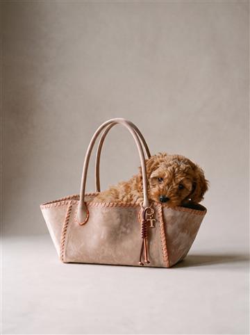 Mini, beige and orange